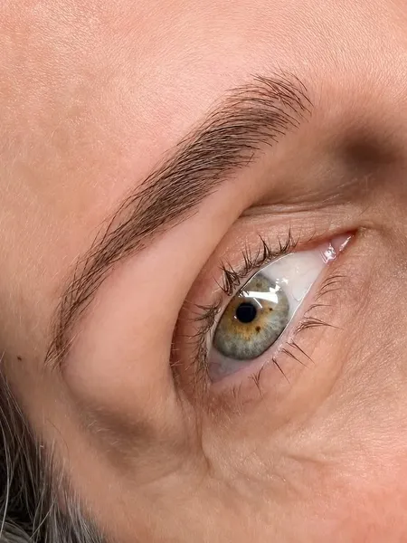 Nano brows close-up showing ultra-fine hair strokes