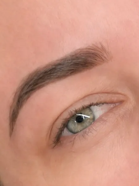 Ombre brows with a soft powdered gradient from front to tail